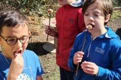 IMG20250317131958