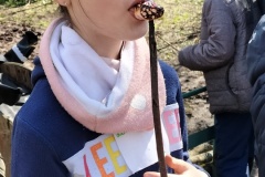 IMG20250317132318