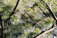 IMG20250430110306