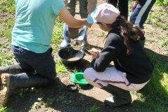 IMG20250430114413